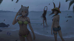 Rule 34 | 3girls, amiya (arknights), animal ears, arknights, arms up, ass, bare arms, bare shoulders, beach, bikini, black bikini, black one-piece swimsuit, blue eyes, blue shorts, brown hair, cat ears, cat tail, chinese commentary, commentary request, cowboy shot, ears through headwear, feet out of frame, flip-flops, flower, from behind, goggles, goggles on headwear, green bikini, green eyes, hand up, hat, hat flower, highres, jay xu, kal&#039;tsit (arknights), long hair, looking at viewer, looking back, material growth, multi-strapped panties, multiple girls, navel, night, night sky, ocean, official alternate costume, one-piece swimsuit, oripathy lesion (arknights), overcast, rabbit ears, red flower, rock, sandals, short hair, short shorts, shorts, silver hair, sky, skyfire (arknights), skyfire (temperature difference) (arknights), smile, soaking feet, standing, stomach, stretching, sun hat, swimsuit, tail, thighlet, thighs, wading, water