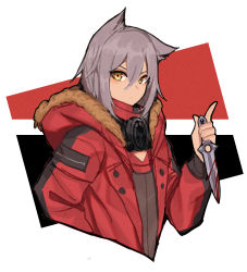 Rule 34 | 1girl, absurdres, animal ears, arknights, blood, bloody knife, bloody weapon, blush, closed mouth, fur, fur-trimmed hood, fur trim, grey hair, hair between eyes, hanenosaki, highres, holding, holding knife, holding weapon, hood, hood down, hooded jacket, jacket, knife, long sleeves, looking at viewer, mask, unworn mask, medium hair, mouth mask, open clothes, open jacket, projekt red (arknights), red jacket, simple background, solo, upper body, weapon, white background, wolf ears, yellow eyes