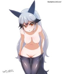 Rule 34 | 10s, 1girl, animal ears, black hair, black pantyhose, blush, breasts, brown eyes, dated, female focus, fox ears, fox tail, ginko (silver fox), kemono friends, long hair, looking at viewer, medium breasts, multicolored hair, navel, nipples, open mouth, pantyhose, pussy, silver fox (kemono friends), silver hair, simple background, solo, standing, tail, topless, uncensored, undressing, watermark, web address, white background