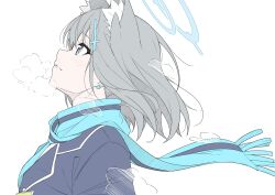 Rule 34 | 1girl, animal ear fluff, animal ears, blue archive, blue eyes, blue jacket, blue scarf, cross hair ornament, grey hair, hair ornament, halo, highres, jacket, looking up, masabodo, parted lips, scarf, school uniform, shiroko (blue archive), simple background, solo, upper body, white background, wolf ears