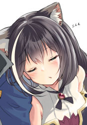 Rule 34 | 1girl, absurdres, animal ear fluff, animal ears, bare shoulders, black hair, blue cape, blush, bodice, brooch, cape, cat ears, cat girl, closed eyes, commentary request, detached sleeves, head on another&#039;s shoulder, highres, jewelry, karyl (princess connect!), long hair, multicolored hair, parted lips, pov, princess connect!, red brooch, sidelocks, simple background, sleeping, solo focus, streaked hair, white background, white hair, yoru (user vewa8437), zzz