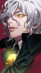 Rule 34 | 1boy, black cape, cape, collared shirt, commentary request, copyright request, edmond dantes (fate), fate/grand order, fate (series), grey hair, hair between eyes, highres, lips, looking at viewer, male focus, parted lips, red background, shirt, simple background, smile, solo, tenobe, upper body, white shirt, wing collar, yellow eyes