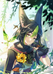 Rule 34 | 1boy, animal ear fluff, animal ears, asymmetrical sleeves, black gloves, black hair, blunt ends, blurry, blurry background, blurry foreground, brown gloves, bug, butterfly, cat princess, flower, fox boy, fox ears, genshin impact, gloves, green eyes, green hair, hair between eyes, hand on own face, highres, insect, light smile, long sleeves, looking at viewer, male focus, multicolored clothes, multicolored gloves, multicolored hair, outdoors, short hair, short sleeves, solo, streaked hair, tassel, tighnari (genshin impact), upper body, yellow flower