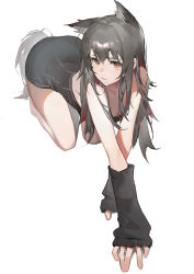 Rule 34 | 1girl, absurdres, all fours, animal ear fluff, animal ears, arknights, arm warmers, black arm warmers, black hair, highres, long hair, looking at viewer, multicolored hair, parted lips, red eyes, red hair, rui (woyoudabing rui), simple background, solo, streaked hair, tail, texas (arknights), two-tone hair, white background, wolf ears, wolf girl, wolf tail