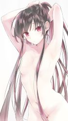 Rule 34 | 1girl, armpits, arms up, blush, breasts, brown hair, bunching hair, closed mouth, commentary request, cowboy shot, grey background, groin, hair between eyes, hair censor, hair over breasts, head tilt, long hair, multicolored hair, navel, nude, original, pink hair, red eyes, small breasts, solo, tomozero, two-tone hair, very long hair