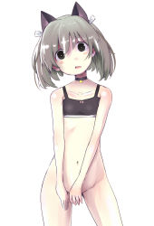 Rule 34 | 1girl, animal ears, bad id, bad pixiv id, black eyes, blush stickers, bottomless, chikamichi, collar, covering privates, covering crotch, grey hair, head tilt, highres, navel, no panties, original, short hair, solo