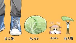 Rule 34 | 1boy, 1other, blue shirt, brown pants, cabbage, faceless, faceless male, guinea pig, height chart, inaine, molcar, orange background, pants, potato (pui pui molcar), pui pui molcar, shirt, simple background