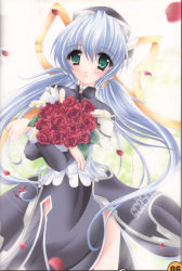 Rule 34 | 00s, 1girl, artist request, flower, highres, hoshino yumemi, planetarian, red rose, rose, solo