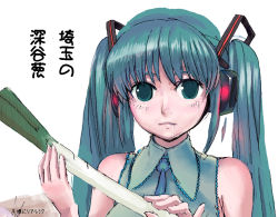 Rule 34 | 1girl, aqua hair, hatsune miku, sasaki toshiyuki, solo, spring onion, tosiyuki, twintails, vocaloid