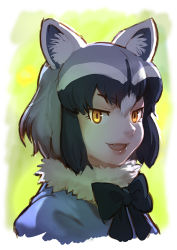 Rule 34 | 10s, 1girl, :d, animal ears, black bow, black bowtie, black hair, bow, bowtie, common raccoon (kemono friends), fang, fur collar, grey hair, kemono friends, looking at viewer, multicolored hair, open mouth, portrait, raccoon ears, roonhee, short hair, smile, solo, yellow eyes