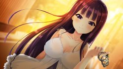 Rule 34 | 1girl, blush, breasts, chastity cage, cleavage, dress, female focus, femdom, game cg, large breasts, long hair, looking at viewer, m no jikan (company), oni mayuge, outdoors, public indecency, puchikko my lord, purple eyes, purple hair, smile, solo, tachibana momo