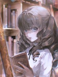 Rule 34 | 1girl, black ribbon, book, bookshelf, brown eyes, brown hair, commentary, das elend, drill hair, fear &amp; hunger, fear &amp; hunger 2: termina, frilled shirt collar, frills, highres, holding, holding book, library, long sleeves, looking at viewer, marina (fear &amp; hunger), mouth piercing, neck ribbon, parted lips, ribbon, solo, twin drills, upper body