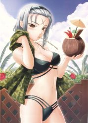 Rule 34 | 00s, 1girl, apple rabbit, bikini, black bikini, blush, breasts, brown eyes, brown hair, camouflage, cleavage, cloud, cocktail umbrella, coconut, covered erect nipples, day, drink, facial mark, fence, flower, food, food art, forehead mark, fruit cup, groin, hairband, hibiscus, holding, jpeg artifacts, kimi ga aruji de shitsuji ga ore de, kuki ageha, large breasts, lens flare, looking at viewer, looking back, mouth hold, navel, official art, orange eyes, outdoors, over shoulder, palm tree, profile, scar, shironeko sanbou, short hair, sidelocks, silver hair, sky, solo, standing, swimsuit, towel, tree, wooden fence