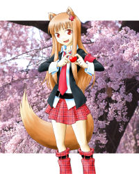 Rule 34 | absurdres, cosplay, highres, holo, sab-chan, shugo chara!, spice and wolf