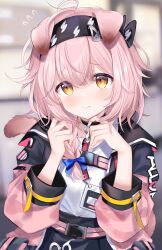 Rule 34 | 1girl, absurdres, animal ears, arknights, black collar, black hairband, blue bow, blue jacket, blush, bow, braid, cat ears, cat girl, cat tail, chocola vt, closed mouth, collar, commentary, english commentary, floppy ears, flying sweatdrops, goldenglow (arknights), hair bow, hairband, highres, id card, jacket, lightning bolt print, looking at viewer, medium hair, multicolored clothes, multicolored jacket, pink hair, pink jacket, shirt, smile, solo, tail, two-tone jacket, upper body, white shirt, yellow eyes