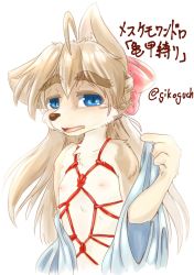 Rule 34 | artist request, blue eyes, bound, brown hair, dog, flat chest, furry, highres, long hair, open mouth, rope, tears, tied up, twitter username