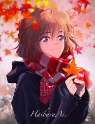 Rule 34 | 1girl, autumn, autumn leaves, black jacket, blurry, blurry background, blush, brown hair, character name, closed mouth, commentary, falling leaves, haibara ai, hair between eyes, highres, holding, holding leaf, hood, hood down, hooded jacket, jacket, jiusi1019, leaf, looking at viewer, maple leaf, meitantei conan, outdoors, purple eyes, red scarf, scarf, short hair, sleeves past wrists, smile, solo, striped clothes, striped scarf, symbol-only commentary, upper body