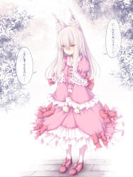 Rule 34 | 1girl, :t, animal ear fluff, animal ears, blush, bow, closed mouth, commentary request, dress, fox ears, frilled dress, frills, full body, grey hair, hair between eyes, highres, juliet sleeves, long hair, long sleeves, looking away, original, pantyhose, pink dress, pout, puffy sleeves, red bow, red eyes, red footwear, sasasa (nashi), shoes, solo, standing, translation request, very long hair, white pantyhose, wide sleeves