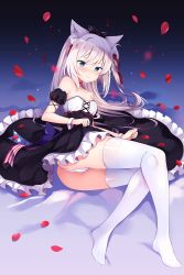 Rule 34 | 1girl, animal ears, azur lane, bare shoulders, black dress, blue eyes, choker, closed mouth, dress, embarrassed, hammann (azur lane), highres, legs, long hair, looking at viewer, lying, nanohana kohina, panties, petals, red choker, revision, solo, thighhighs, underwear, wavy mouth, white hair, white panties, white thighhighs