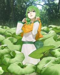 Rule 34 | 1girl, ahoge, commentary request, dress, frog, green hair, green theme, lily pad, long hair, mi8pq, outdoors, solo, tree, utau