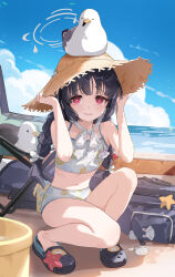 Rule 34 | 1girl, animal, bare arms, bare shoulders, bikini, bird, black footwear, black hair, blue archive, blue sky, braid, brown hat, cloud, collarbone, commentary request, crocs, day, halo, hands on headwear, hands up, hat, highres, horizon, leaf print, low twintails, miyu (blue archive), miyu (swimsuit) (blue archive), nima (niru54), ocean, outdoors, parted lips, print bikini, red eyes, seagull, signature, sky, solo, squatting, starfish, straw hat, swimsuit, tears, twin braids, twintails, water, wavy mouth, white bikini