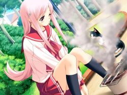 Rule 34 | 1girl, blush, cat, game cg, lucy maria misora, outdoors, school uniform, solo, tagme, to heart (series), to heart 2