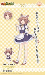 Rule 34 | 1girl, animal ears, azuki (nekopara), brown eyes, brown hair, cat ears, cat girl, cat tail, maid, nekopara, non-web source, sayori (neko works), tail