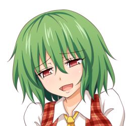 Rule 34 | 1girl, collared shirt, commentary request, gin&#039;you haru, green hair, half-closed eyes, kazami yuuka, looking at viewer, open mouth, plaid, portrait, profile picture, red eyes, shirt, short hair, simple background, solo, touhou, upper body, white background
