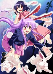 Rule 34 | 2girls, :3, animal ears, bamboo, blazer, blush, rabbit, carrot, carrot necklace, dress, highres, inaba tewi, jacket, jewelry, long sleeves, mana (gooney), multiple girls, neckerchief, necklace, open mouth, pendant, pink dress, pink eyes, pink hair, purple hair, rabbit ears, rabbit girl, rabbit tail, red eyes, reisen udongein inaba, shirt, skirt, smile, tail, too many, too many rabbits, touhou