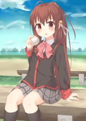 Rule 34 | 1girl, ahoge, arm support, bad id, bad pixiv id, ball, bell, bench, black jacket, black socks, blue sky, blush, bow, bowtie, brown eyes, brown hair, cloud, collared shirt, commentary request, day, fence, grey skirt, hair bell, hair between eyes, hair ornament, hair ribbon, head tilt, high ponytail, highres, holding, holding ball, jacket, jingle bell, kneehighs, little busters!, long hair, long sleeves, looking at viewer, natsume rin, open mouth, outdoors, pink bow, pink bowtie, plaid, plaid skirt, pocket, ribbon, school uniform, shirt, sidelocks, sitting, skirt, sky, socks, solo, tareme, tree, usagino suzu, very long hair, white ribbon, white shirt