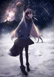 Rule 34 | 1girl, animal ears, artist name, bad id, bad twitter id, black bow, black bowtie, black hair, black pantyhose, black skirt, blue coat, bow, bowtie, breath, brown eyes, coat, commentary request, extra ears, falling star, fox ears, fox girl, fox tail, full body, fur-trimmed sleeves, fur trim, grey hair, hair between eyes, hands in pockets, highres, kemono friends, long hair, long sleeves, multicolored hair, night, outdoors, pantyhose, parted lips, signature, silver fox (kemono friends), skirt, sky, snow, solo, standing, star (sky), starry sky, tail, takami masahiro, white hair