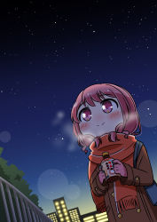 Rule 34 | 1girl, absurdres, bag, bang dream!, blush, bottle, breath, brown coat, building, coat, commentary request, cowboy shot, dutch angle, from below, gloves, highres, holding, holding bottle, kyou (fr39), light, light particles, long hair, long sleeves, maruyama aya, night, night sky, orange scarf, pink eyes, pink gloves, pink hair, railing, scarf, shoulder bag, sky, smile, solo, star (sky), starry sky, tree
