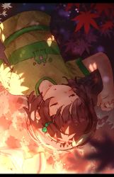 Rule 34 | 1girl, animal print, artist request, autumn leaves, blue shorts, brown hair, child, closed eyes, falling leaves, frog, frog print, green hair ornament, green shirt, hand up, highres, indie virtual youtuber, leaf, leaves, lily hopkins, lying, lying on ground, lying on object, open mouth, shirt, shorts, striped clothes, striped shirt, tagme, third-party edit, virtual youtuber, yellow shirt