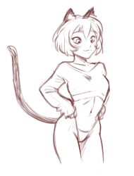 Rule 34 | animal ears, breasts, cat ears, cat girl, cat tail, crop top, dalehan, stomach, nathy, petite, short hair, sketch, small breast, small breasts, smile, tail, thighs, thong