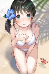 Rule 34 | 1girl, bad id, bad pixiv id, bare arms, bare shoulders, barefoot, between legs, bikini, black hair, blue eyes, blue flower, blurry, breasts, cleavage, collarbone, commentary request, crab, depth of field, flower, flying sweatdrops, from above, hair flower, hair ornament, halterneck, halterneck, hand on own chest, highres, leaf, long hair, looking at viewer, looking up, medium breasts, navel, original, parted lips, sand, side ponytail, solo, sunlight, swimsuit, thighs, utaka (anyoanyot), wet, white bikini