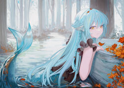 Rule 34 | 1girl, absurdres, amamizu shizuku, black shirt, blue hair, blue tail, braid, bug, butterfly, fins, fish tail, forest, frilled shirt, frills, hair bun, highres, insect, long hair, mermaid, monster girl, nature, original, outdoors, partially submerged, scales, shirt, single hair bun, smile, solo, tail, tree, water, yellow eyes