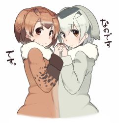 Rule 34 | 10s, 2girls, blush, brown eyes, brown hair, coat, commentary request, eurasian eagle owl (kemono friends), fur collar, fur trim, head wings, holding hands, interlocked fingers, kasa list, kemono friends, long sleeves, looking at viewer, multicolored hair, multiple girls, northern white-faced owl (kemono friends), short hair, simple background, symmetrical pose, translation request, upper body, white background, white hair, wings
