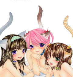 Rule 34 | 3girls, animal ears, bell, neck bell, blush, bow, breasts, brown hair, cat ears, cat girl, cat tail, cherry hair ornament, cleavage, collar, collarbone, fangs, food-themed hair ornament, green eyes, hair bobbles, hair bow, hair ornament, hairband, head on hand, large breasts, long hair, lying, multiple girls, nude, open mouth, ozaki mirai, paw pose, pink hair, purple eyes, short hair, smile, sugimoto ai, tail, teeth, twintails, upper body, white background, wink