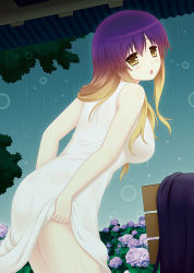 Rule 34 | 1girl, ass, bad id, bad pixiv id, blonde hair, breasts, chestnut mouth, clothes lift, cpu (hexivision), dress, dress lift, flower, gradient hair, hijiri byakuren, hydrangea, large breasts, long hair, looking at viewer, looking back, multicolored hair, no bra, no panties, open mouth, purple hair, rain, see-through, sleeveless, sleeveless dress, solo, touhou, undressing, unworn dress, wet, wet clothes, wet dress, white dress, yellow eyes
