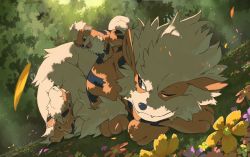 Rule 34 | animal focus, arcanine, black eyes, blurry, bright pupils, closed mouth, commentary request, creatures (company), day, evolutionary line, falling petals, fangs, fangs out, flower, game freak, gen 1 pokemon, growlithe, lying, nintendo, no humans, one eye closed, outdoors, petals, pokemon, pokemon (creature), smile, white pupils, yamada yuukei