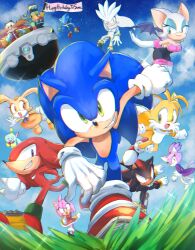 Rule 34 | amy rose, animal nose, blaze the cat, blue sky, chao (sonic), cheese (sonic), cloud, cream the rabbit, cubot, dr. eggman, flying, furry, furry female, furry male, gloves, grass, knuckles the echidna, metal sonic, open mouth, orbot, outdoors, rouge the bat, shadow the hedgehog, shoes, silver the hedgehog, sky, sonic (series), sonic the hedgehog, tails (sonic), tondamanuke, white gloves