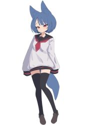 Rule 34 | 1girl, absurdres, animal ear fluff, animal ears, black sailor collar, black thighhighs, blue hair, brown footwear, closed mouth, commentary request, full body, highres, loafers, long sleeves, myakuro, original, puffy long sleeves, puffy sleeves, red eyes, sailor collar, shirt, shoes, simple background, sleeves past fingers, sleeves past wrists, solo, standing, standing on one leg, tail, thighhighs, white background, white shirt