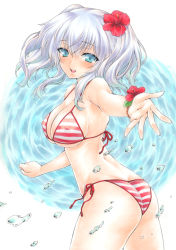Rule 34 | 10s, 1girl, ass, bikini, blue eyes, breasts, cleavage, covered erect nipples, flower, foreshortening, hair flower, hair ornament, hibiscus, kantai collection, kashima (kancolle), long hair, looking at viewer, open mouth, ren (endscape20), silver hair, smile, solo, striped bikini, striped clothes, swimsuit, traditional media, twintails, water, wavy hair
