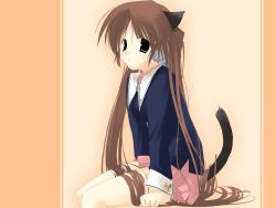 Rule 34 | 1girl, animal ears, arikawa satoru, cat ears, highres, solo