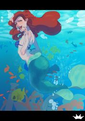 Rule 34 | 1girl, ariel (disney), blue eyes, bra, bubble, disney, female focus, fins, fish, fish tail, full body, highres, long hair, looking back, mermaid, monster girl, nature, nshi, open mouth, plant, red hair, shell, shell bikini, solo, tail, the little mermaid, underwater, underwear
