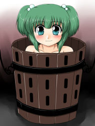 Rule 34 | 1girl, akatuki (yamina), aqua eyes, bucket, female focus, gradient background, green hair, in bucket, in container, kisume, short hair, solo, touhou, twintails