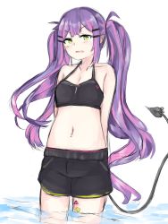 Rule 34 | 1girl, absurdres, barbell piercing, black shorts, breasts, collarbone, demon girl, demon tail, ear piercing, fang, green eyes, halterneck, highres, hololive, industrial piercing, long hair, looking at viewer, navel, navel piercing, open mouth, piercing, pointy ears, purple hair, shorts, skin fang, small breasts, solo, suzu coconatu, tail, tokoyami towa, twintails, v-shaped eyebrows, virtual youtuber, water