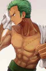 Rule 34 | 1boy, abs, commentary request, drying, earrings, green hair, highres, holding, holding towel, jewelry, looking away, looking to the side, male focus, mature male, muscular, muscular male, oekakiboya, one piece, pectoral cleavage, pectoral focus, pectorals, roronoa zoro, scar, short hair, solo, standing, topless male, towel, towel around neck, towel on head, upper body