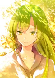 Rule 34 | 1boy, androgynous, closed mouth, collarbone, dappled sunlight, enkidu (fate), fate/strange fake, fate (series), green hair, highres, long hair, looking at viewer, male focus, nanohana kohina, shade, smile, solo, sunlight, upper body, yellow eyes