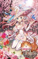 Rule 34 | 1girl, :d, age of ishtaria, blue eyes, blurry, blurry background, boots, braid, breasts, cherry blossoms, cleavage, copyright notice, day, depth of field, dog, dress, floral print, flower, gambe, hand up, hat, hat flower, hat ribbon, juliet sleeves, kneeling, logo, long dress, long hair, long sleeves, medium breasts, official art, open mouth, outdoors, puffy sleeves, red flower, red rose, ribbon, rose, sleeves past wrists, smile, thigh boots, thighhighs, tree, watermark, white footwear